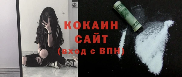 дживик Богородицк