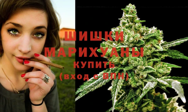 мдпв Беломорск