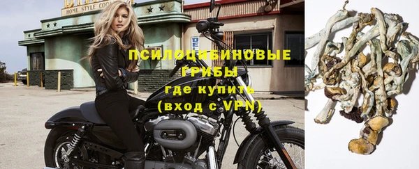 сатива Белоозёрский