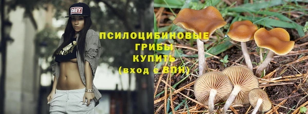 бошки Белокуриха
