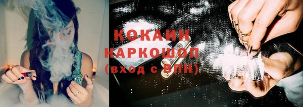 a pvp Новозыбков