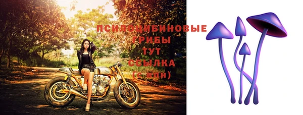 мдпв Беломорск