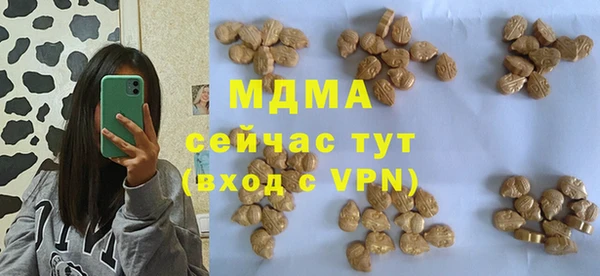 дживик Богородицк