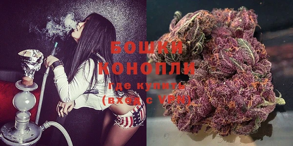 сатива Белоозёрский