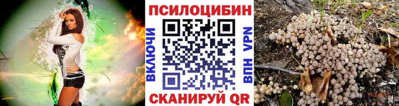 мега ССЫЛКА  Улан-Удэ  Псилоцибиновые грибы мицелий 